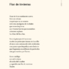 Apacheta - Imagen 4